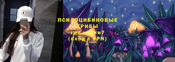 мдма Краснослободск